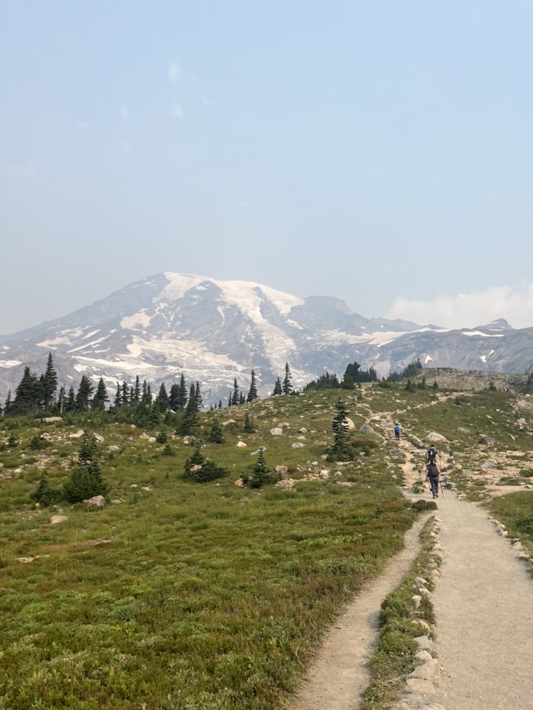 Mt. Rainier